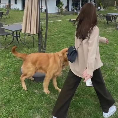 女子当参政海报